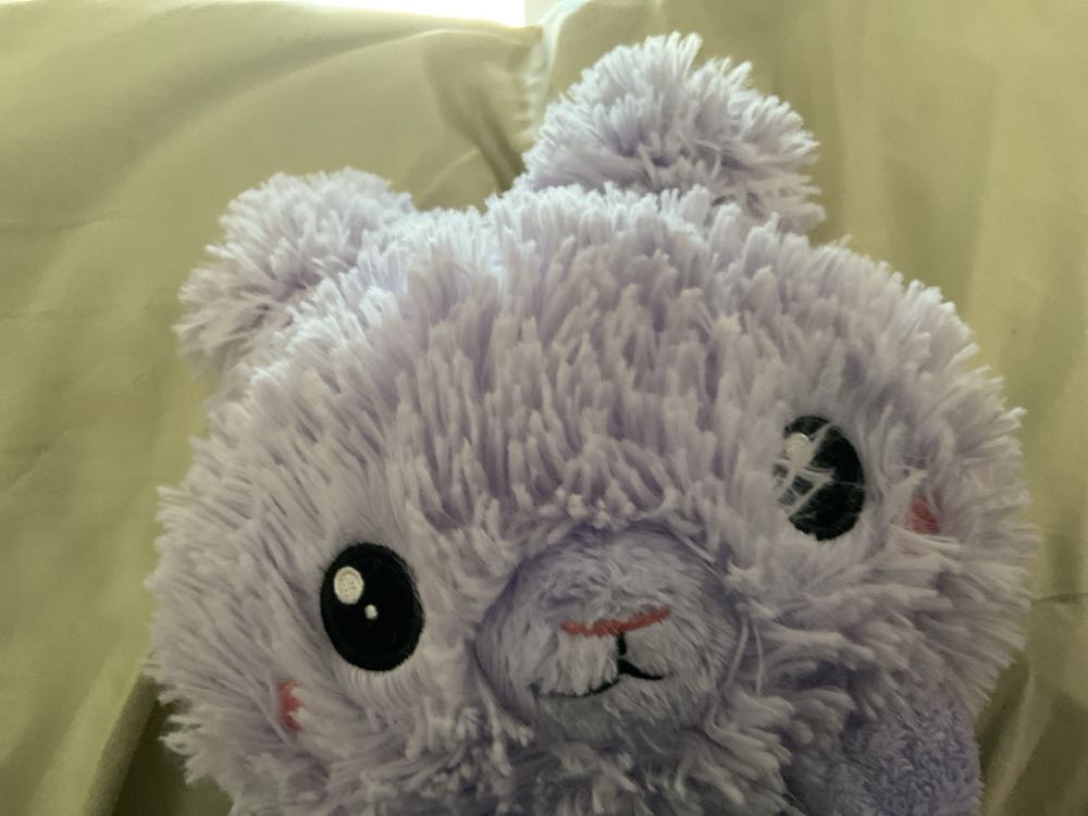 Care Bears Christmas Wishes Bear