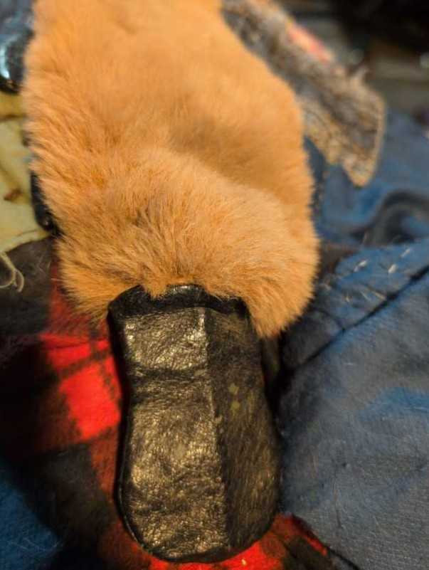 Sheep (Crocheted Medium)