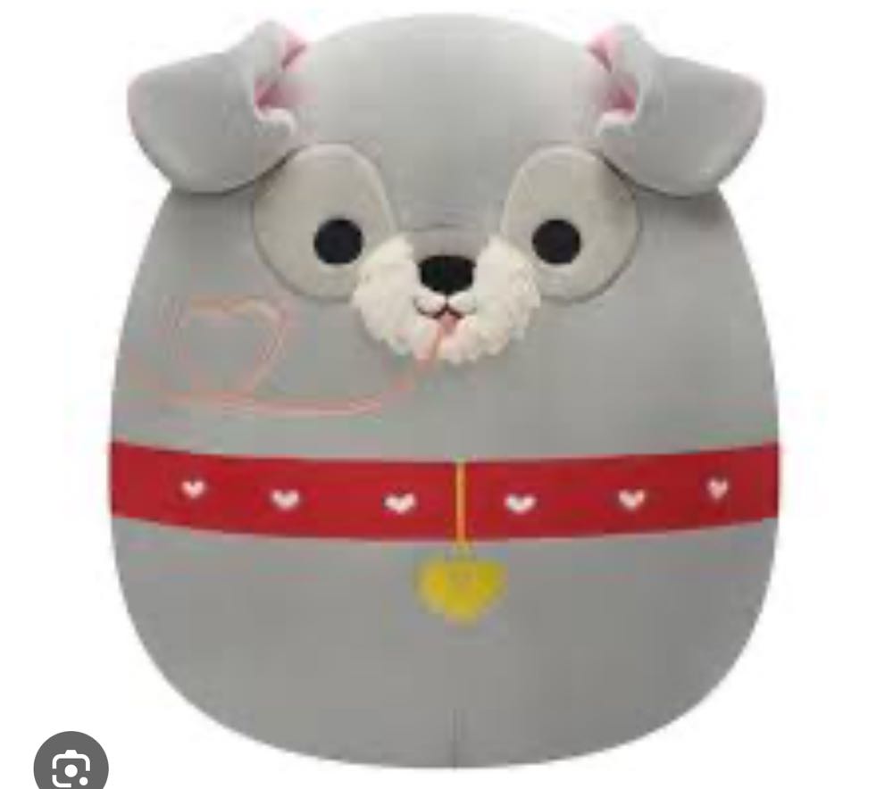 Sky Dragon Bag Charm BNWT