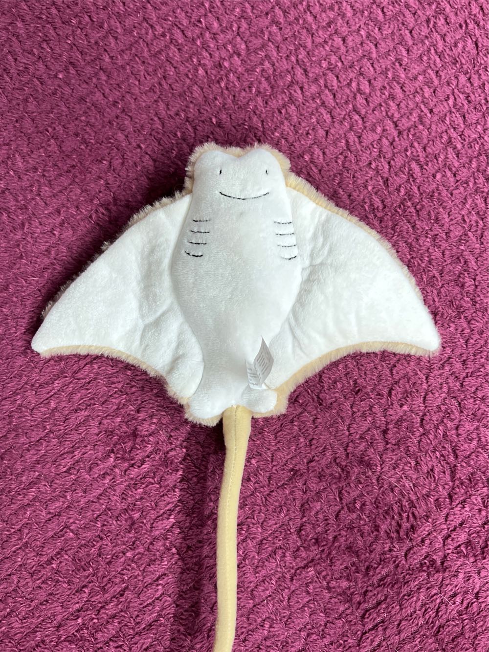 Cow Nose Ray The Petting Zoo  plush collectible - Main Image 2