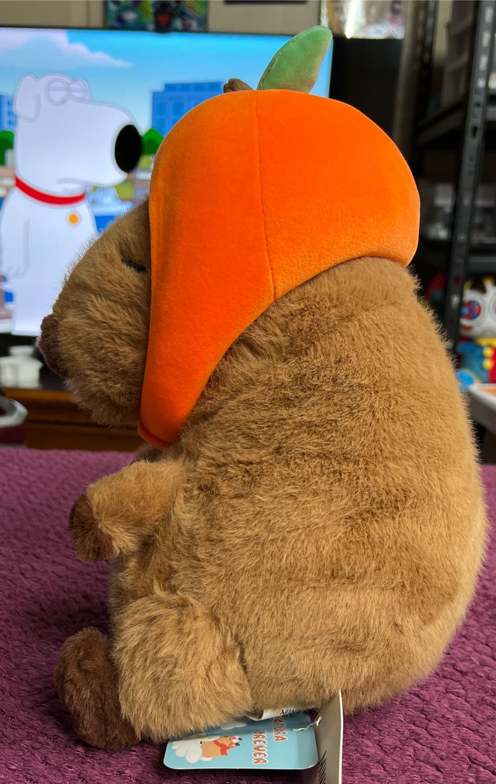 Capybara Collection Sitting 30cm Plush Soft Toy  plush collectible [Barcode 6942269568812] - Main Image 2