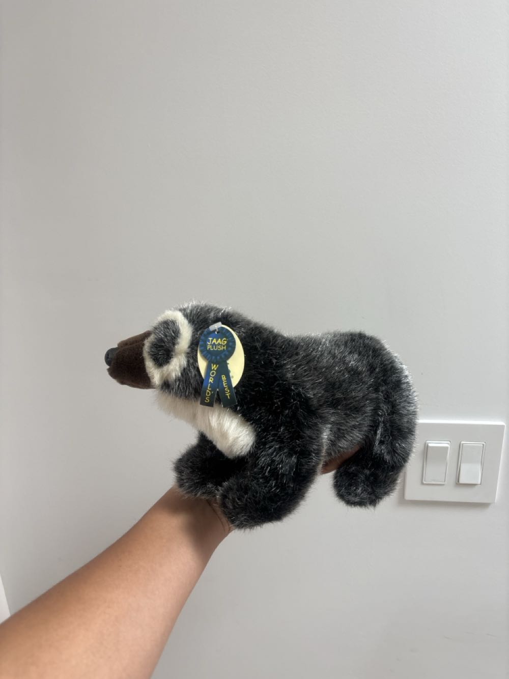 Andy - Andean Bear  plush collectible - Main Image 2