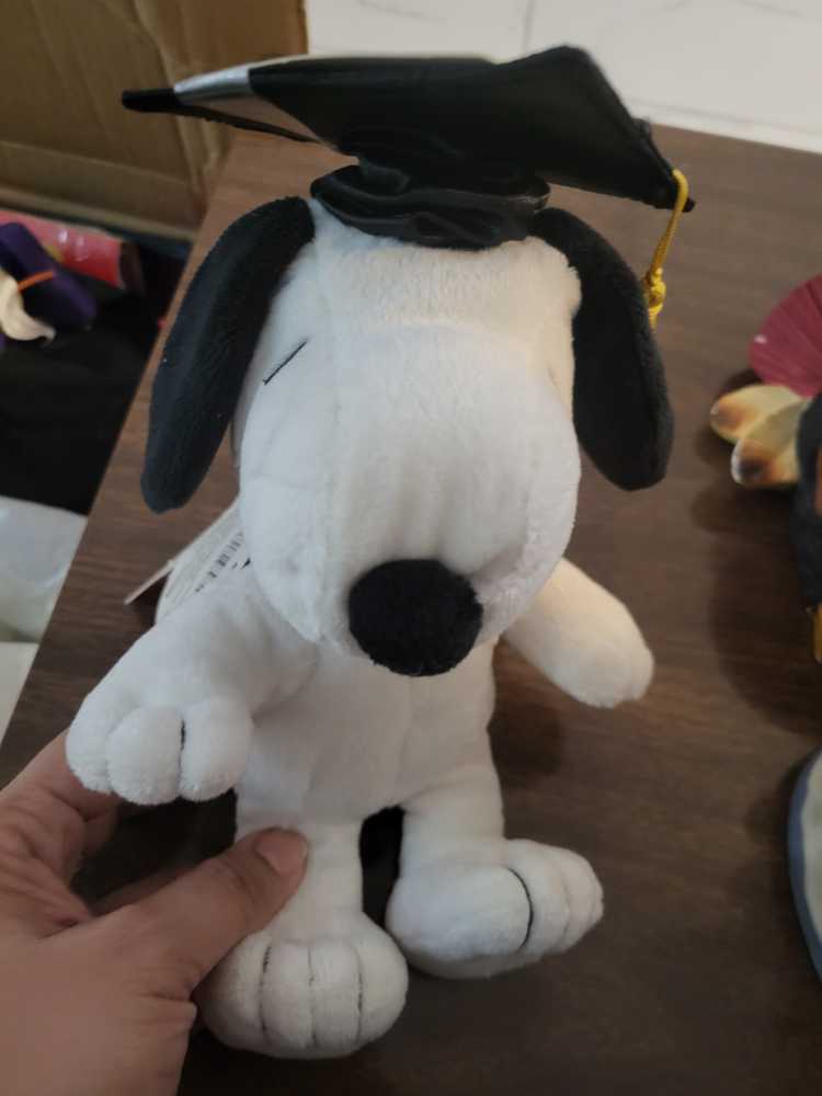 Pineapple Upside Down Cat