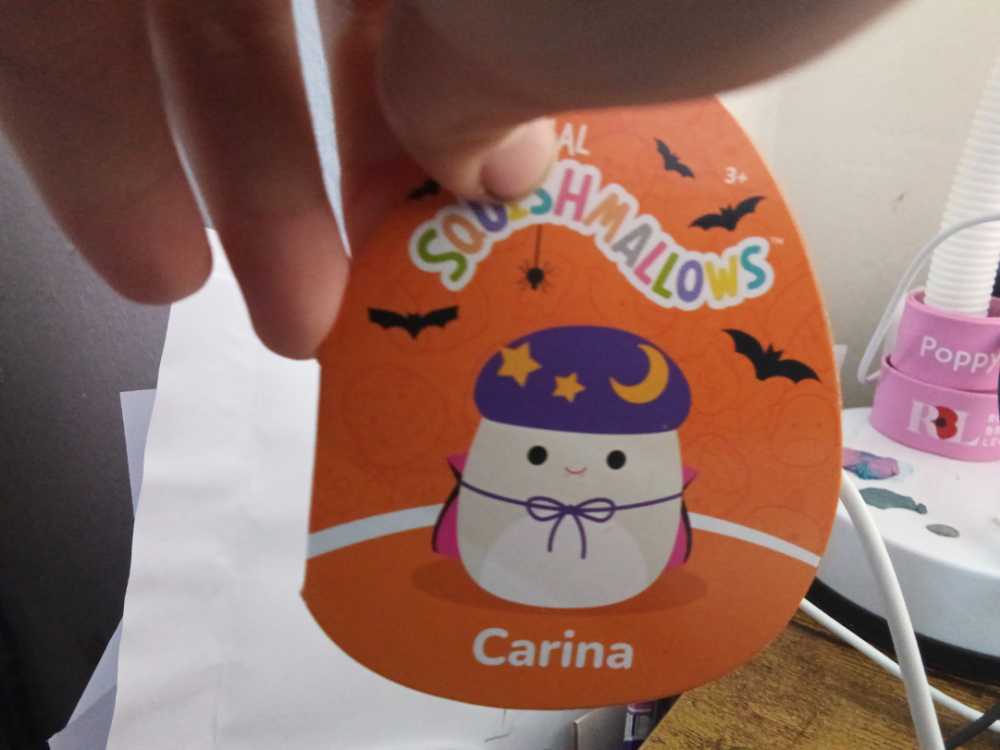 Pullover Darling Ram