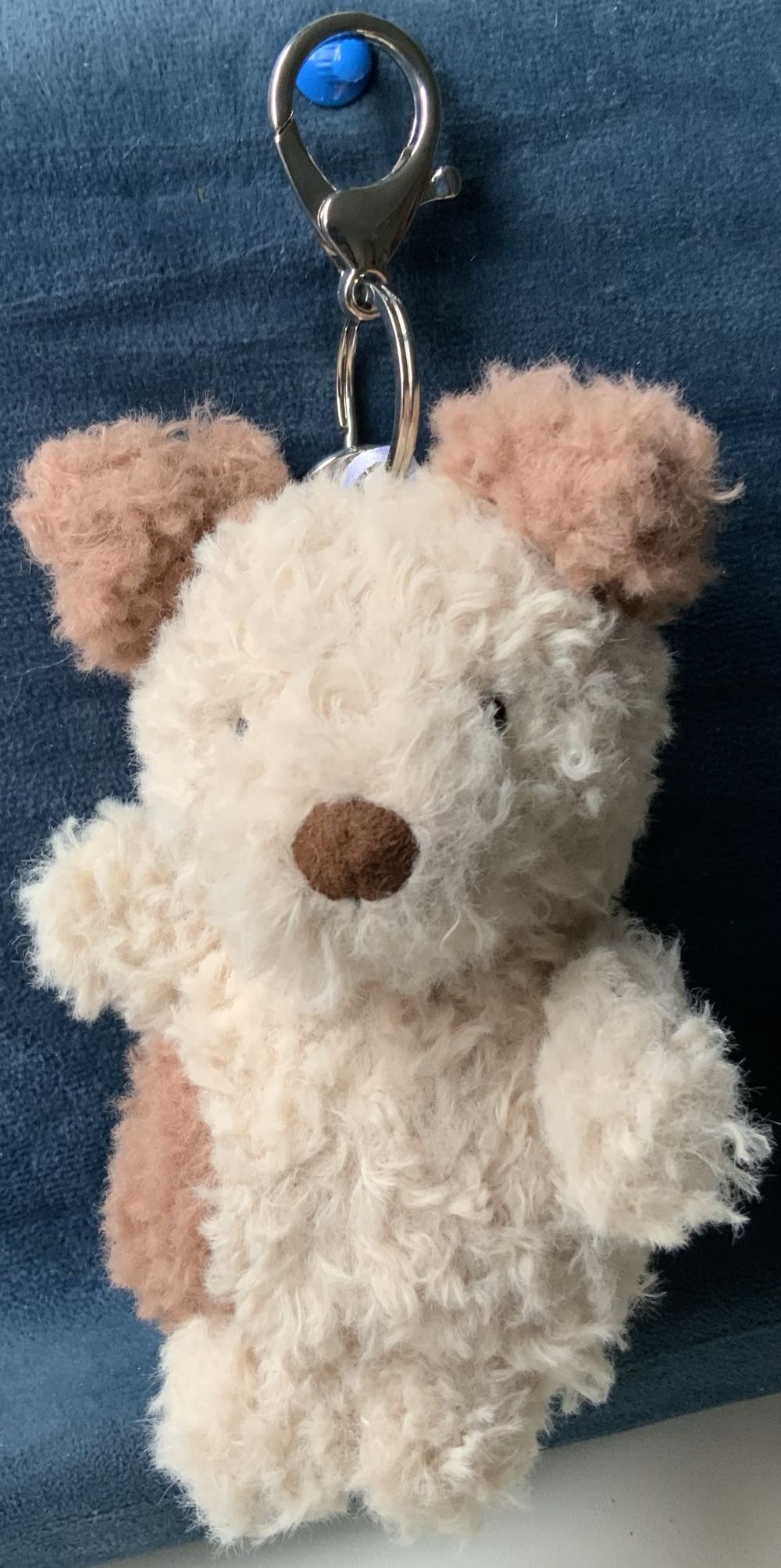 Georgie (Regular ☺️) : Monkey 🐒🐵