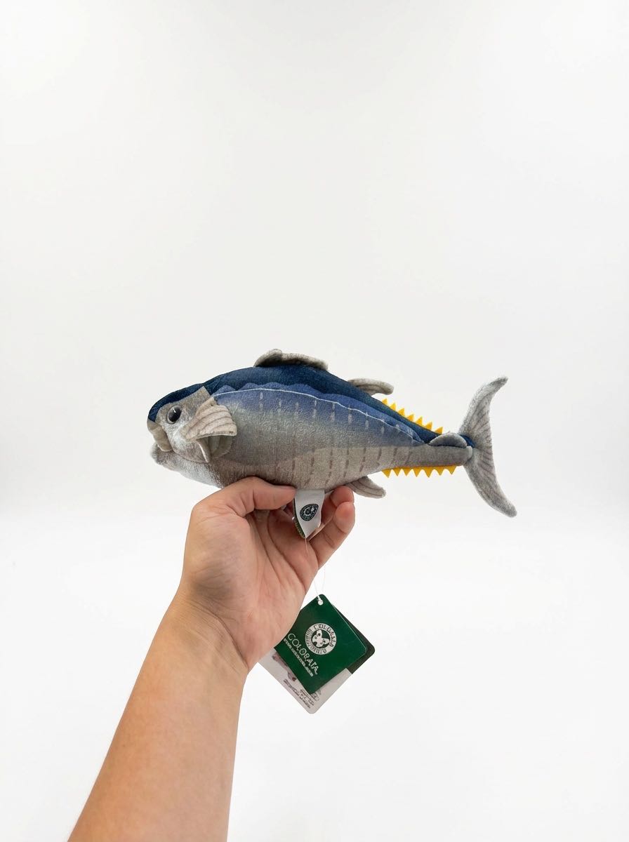 Sanrio × Godiva - 2025 Collab - Cinnamon Roll