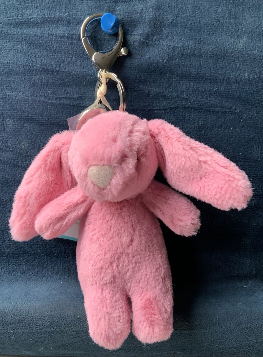 Reptile - Colin Chameleon