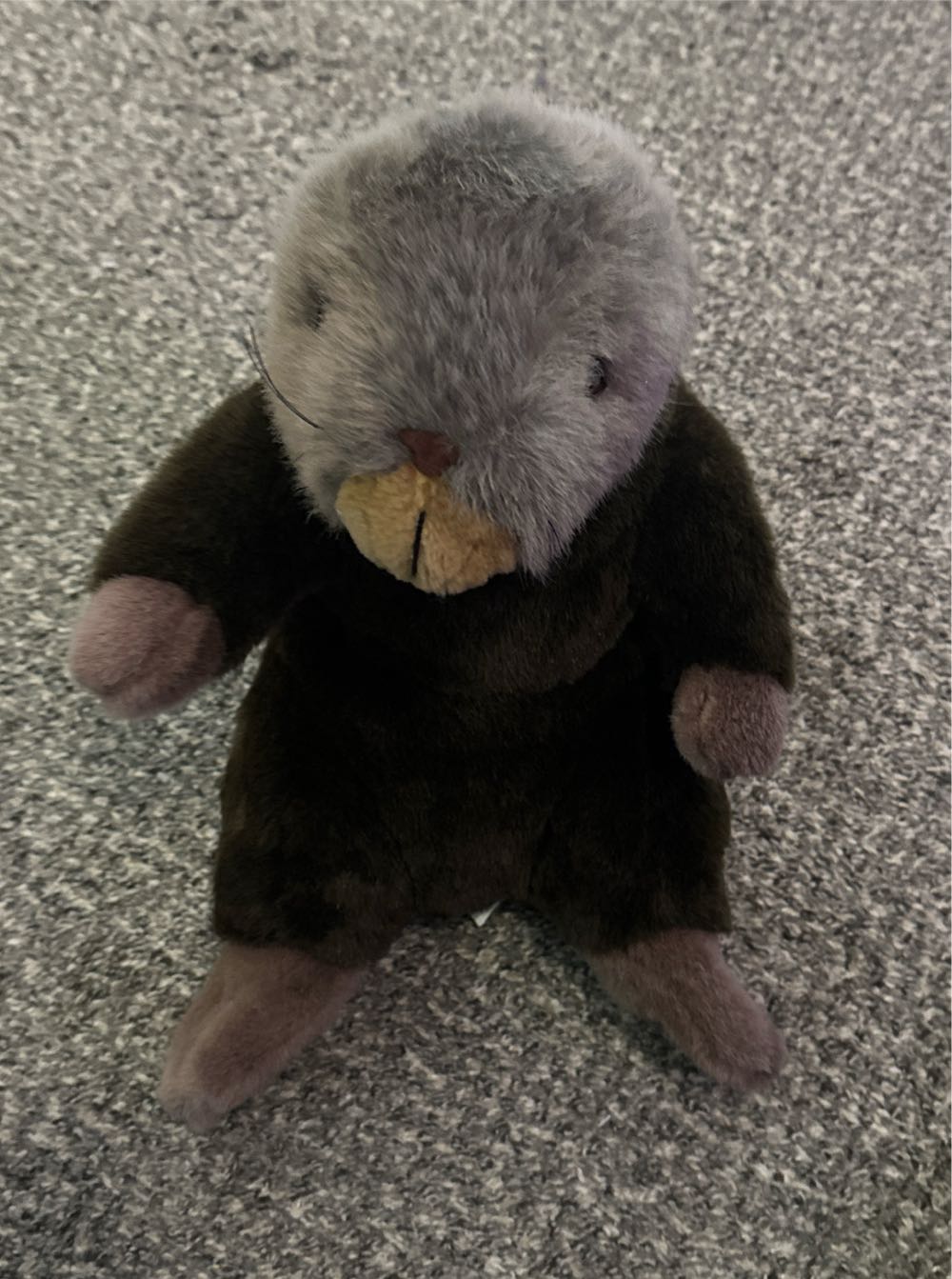 Tiger Reversible Teeturtle 