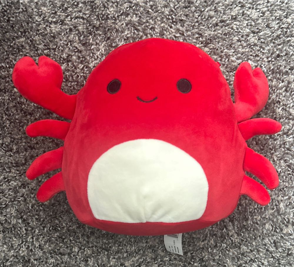 Teddy The Bear (Violet, New Face)