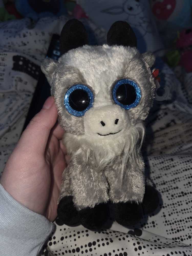 Disney Splash Mountain Brer Rabbit Bear Bean Bag Nwt Rare Song Of South The World Tag Fox Vintage Parks