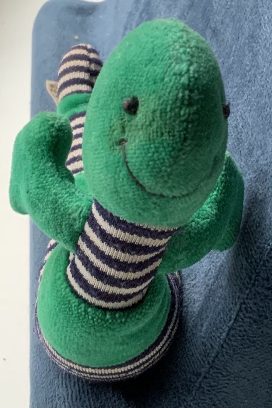 Plant - Amuseable Aloe Vera