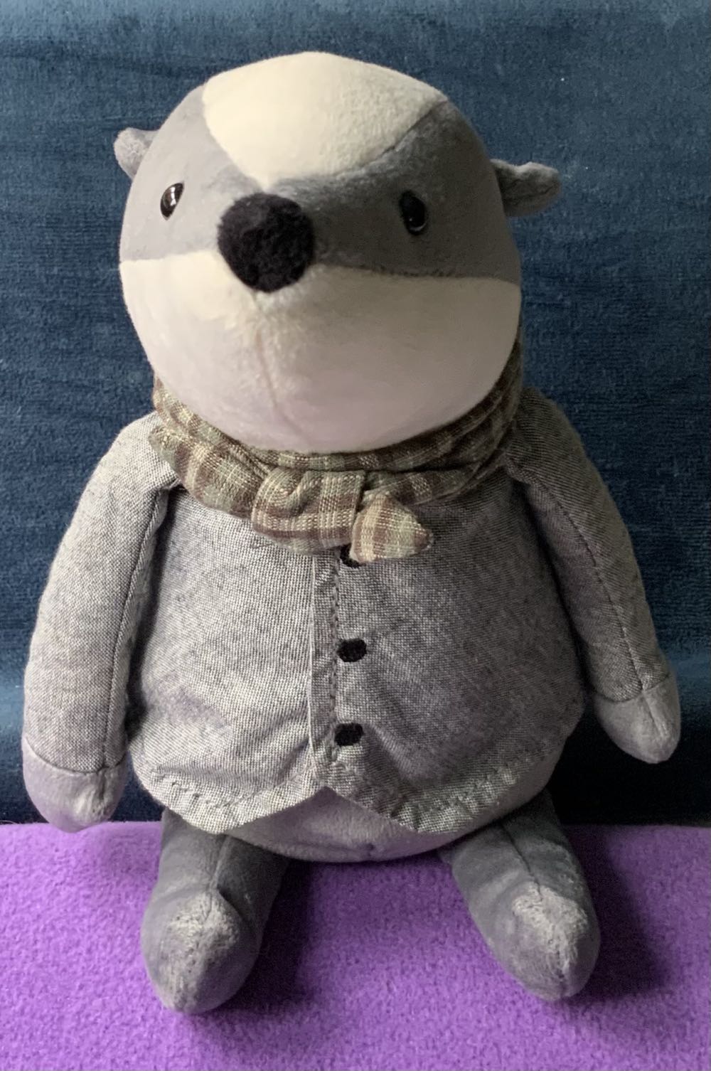 Eeyore Limited Edition Winter Plush, Winnie the Pooh