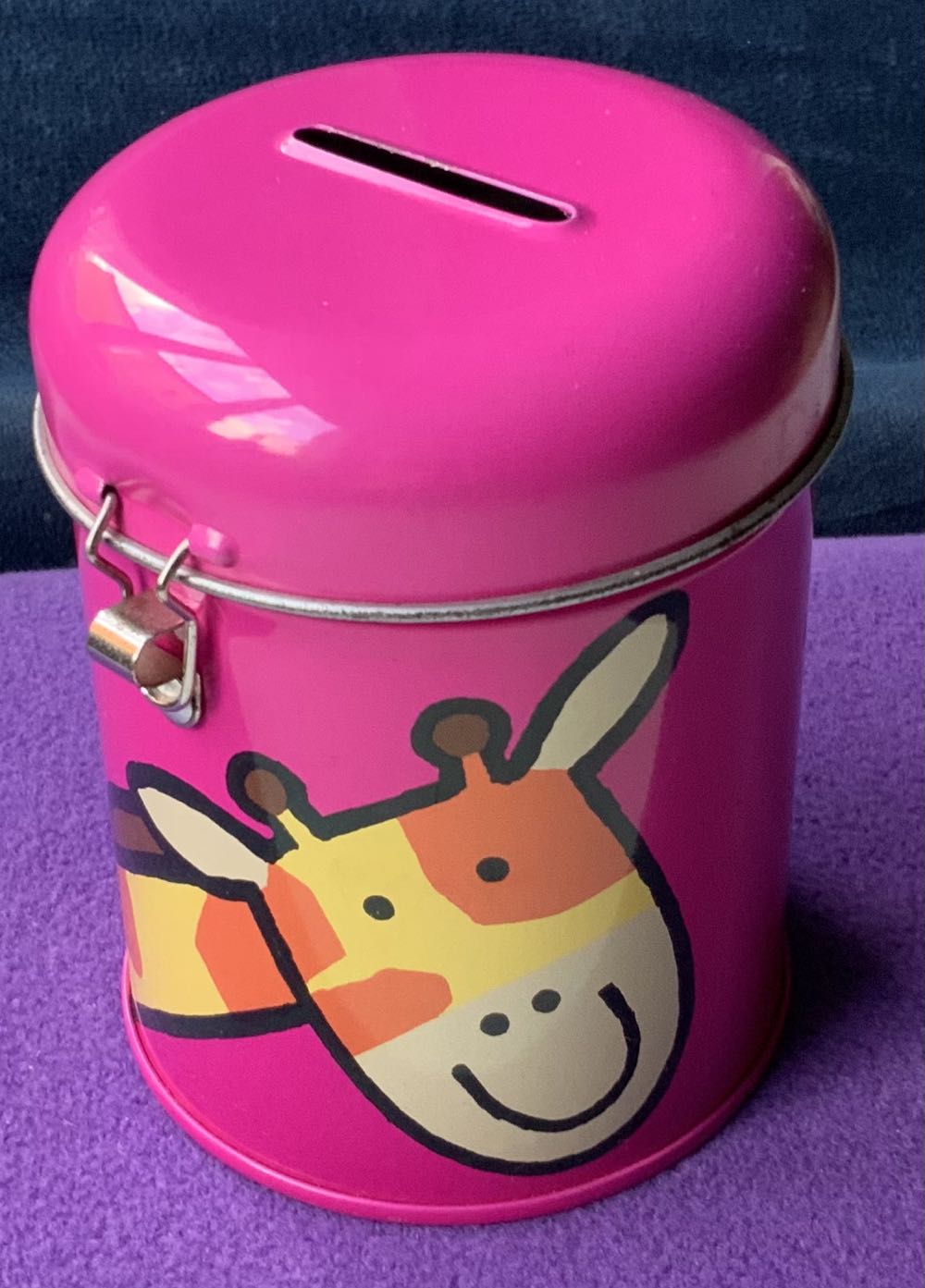 Plant - Amuseable Aloe Vera