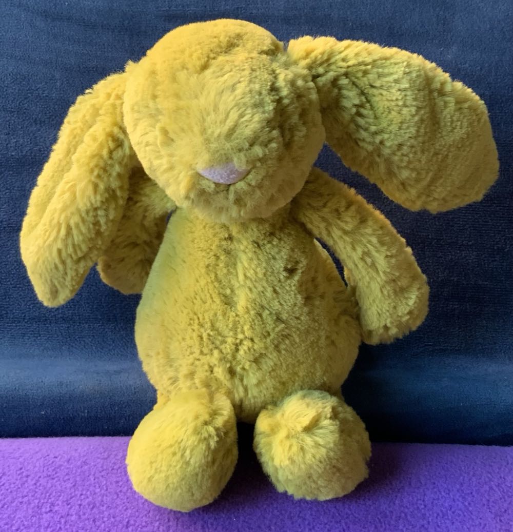 Quail With Real Bird California Quail Wild Turkey Audubon Birds California Stuffed Animal Wild Republic Audubon Bird Call Stuffed Sound No Tags Animals Nwt