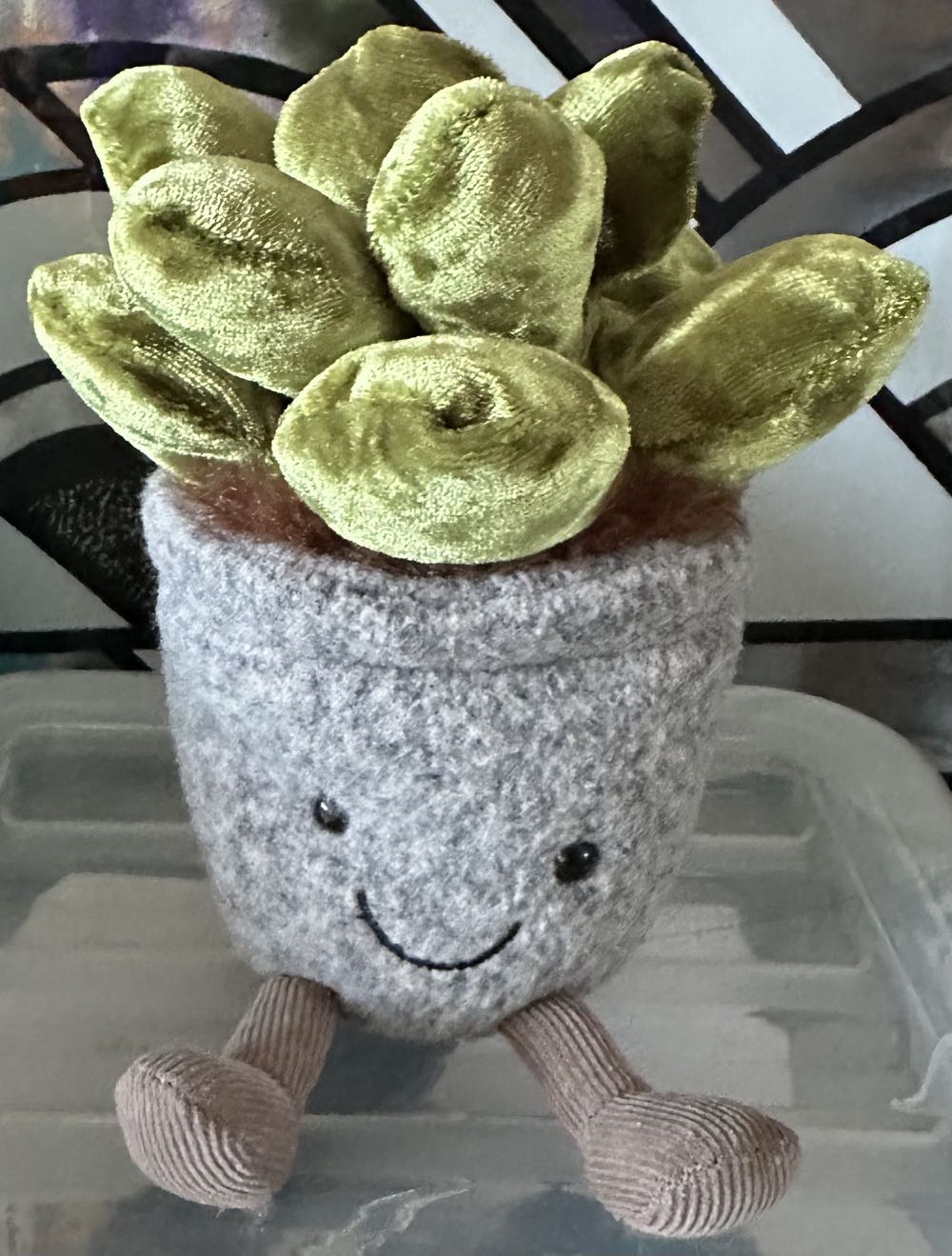 Little Black Daily Work Routine Blind Box