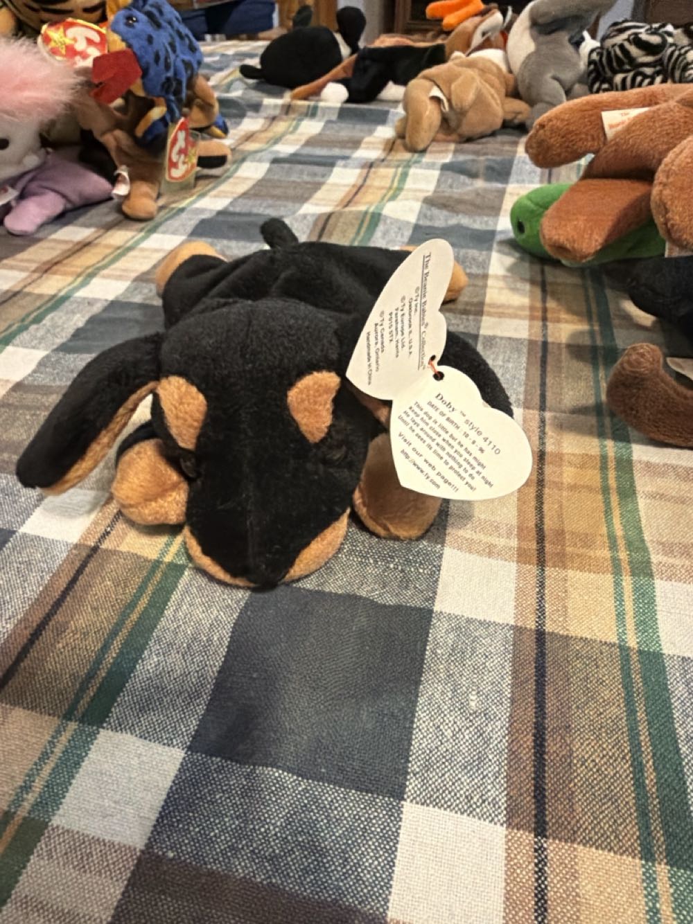 Coin Purse - Catseye Bathing Belles