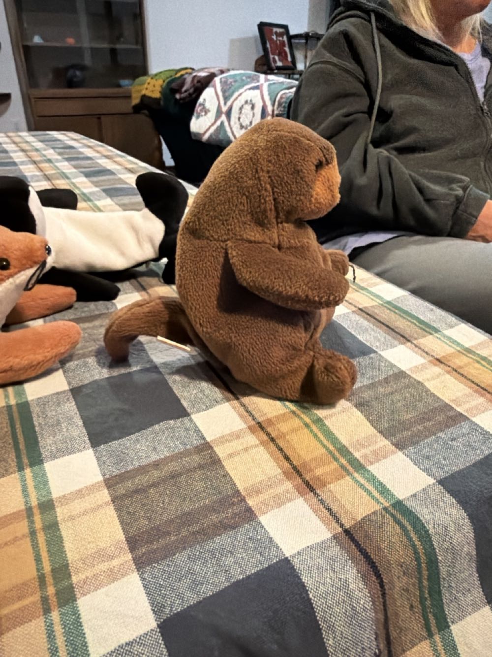 Vivacious Vegetable Tomato