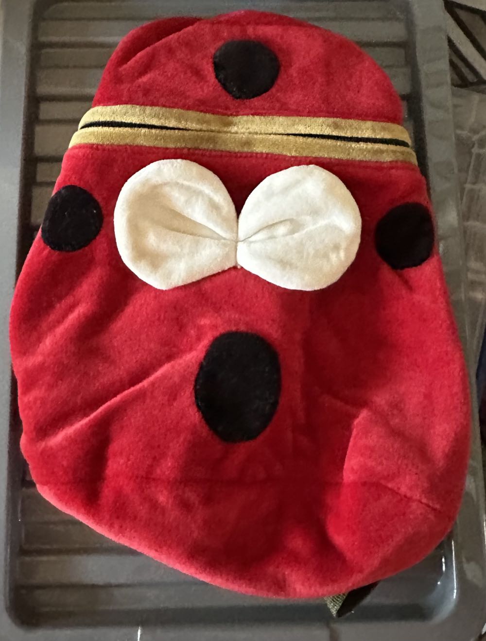 Furley The Old Gray Cat