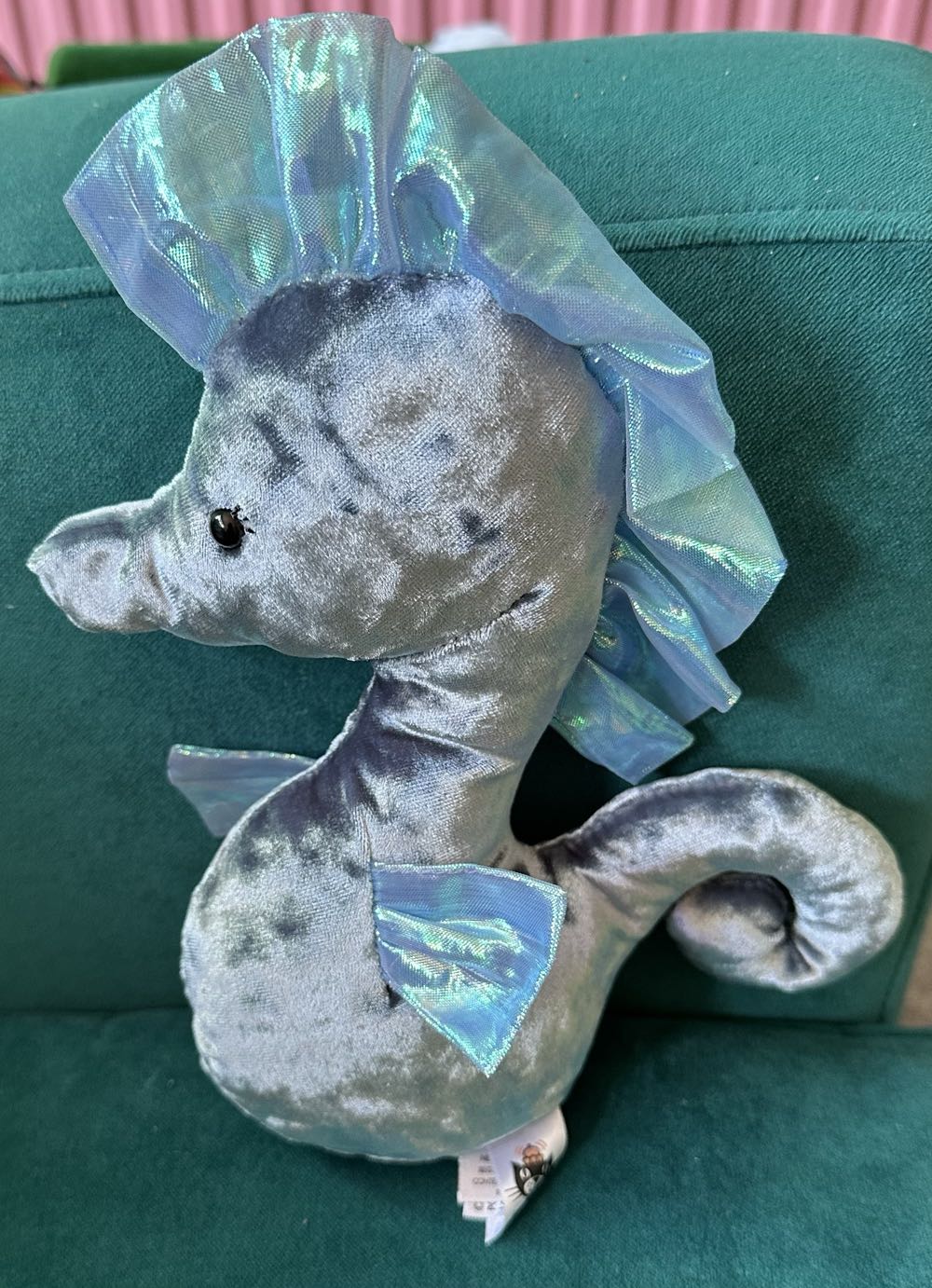 Plant - Amuseable Snake