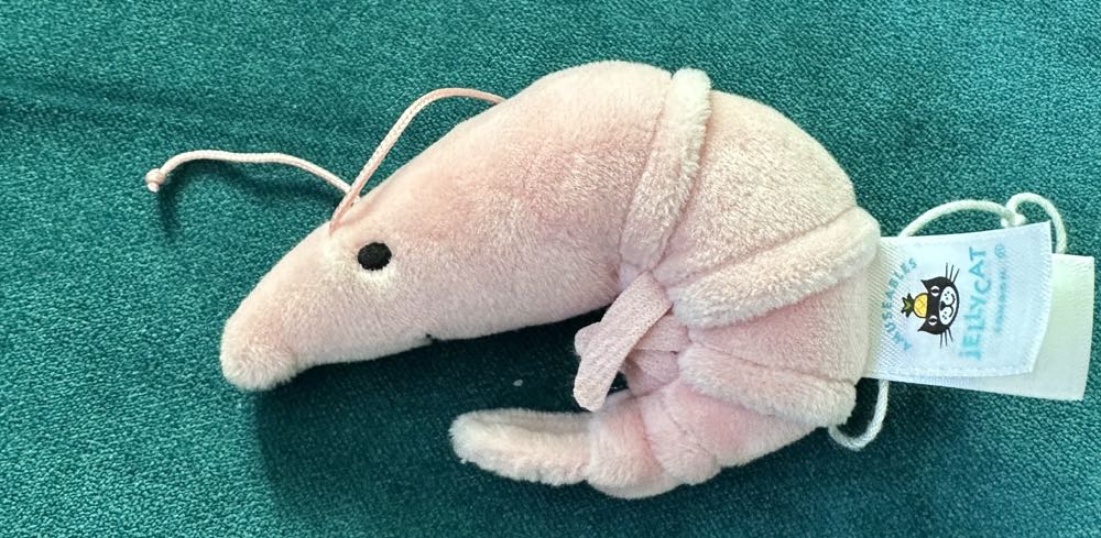 Sensational Seafood Shrimp  plush collectible - Main Image 2
