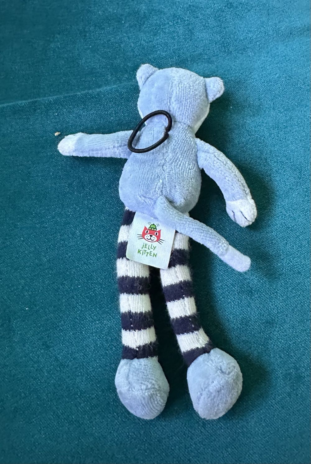 Jelly Kitten Rattle - Cat  plush collectible - Main Image 2