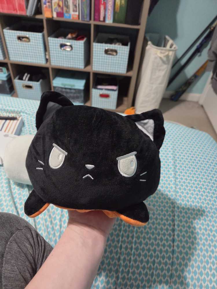 Jumbo Pumpkin/Black Cat Reversible Teeturtle   plush collectible - Main Image 2