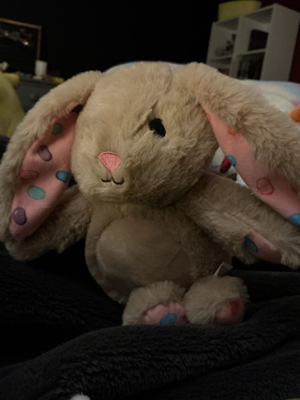 Strawberry Plant - Kaitlyn