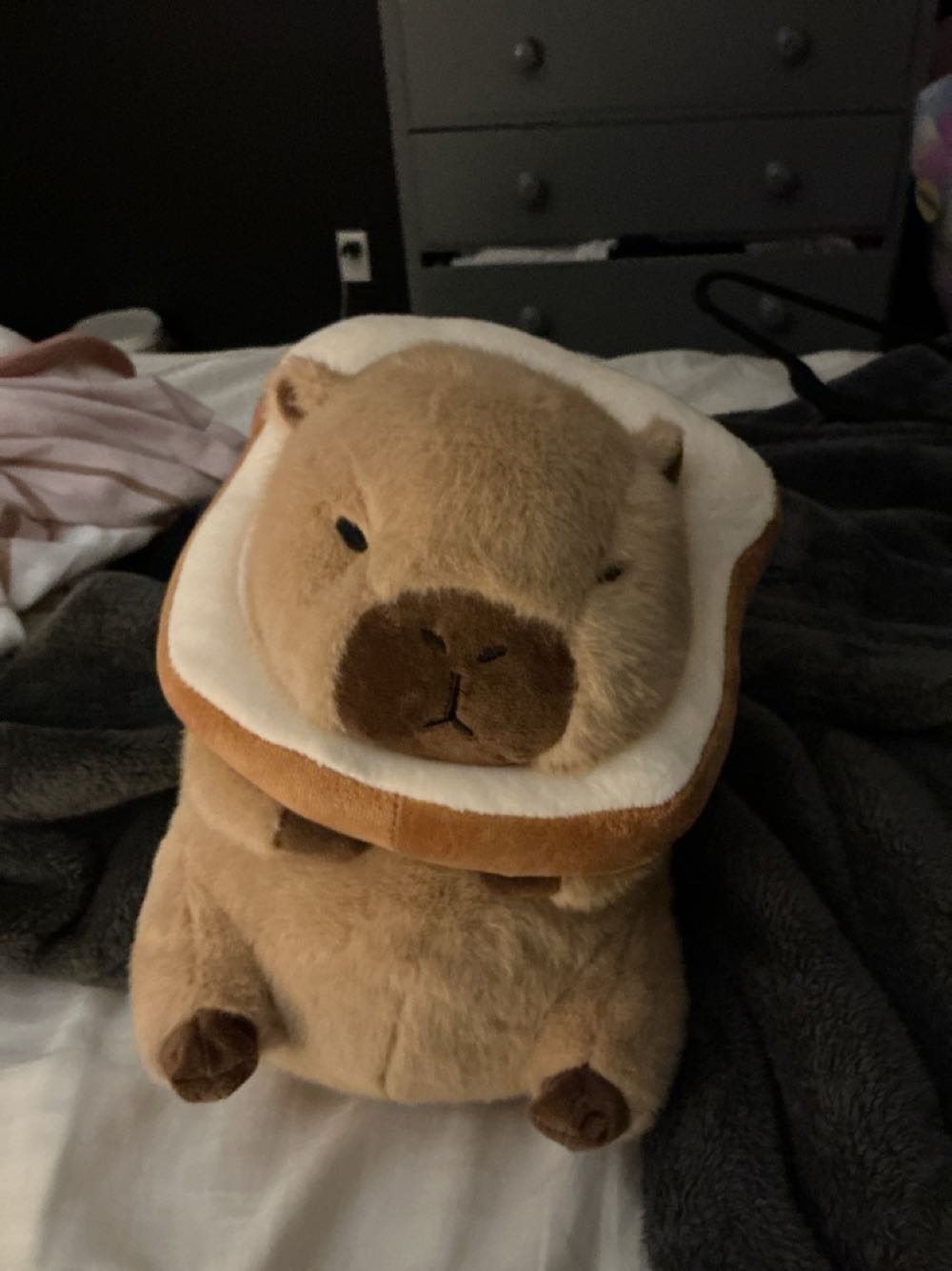 Sushi Reversible Teeturtle 