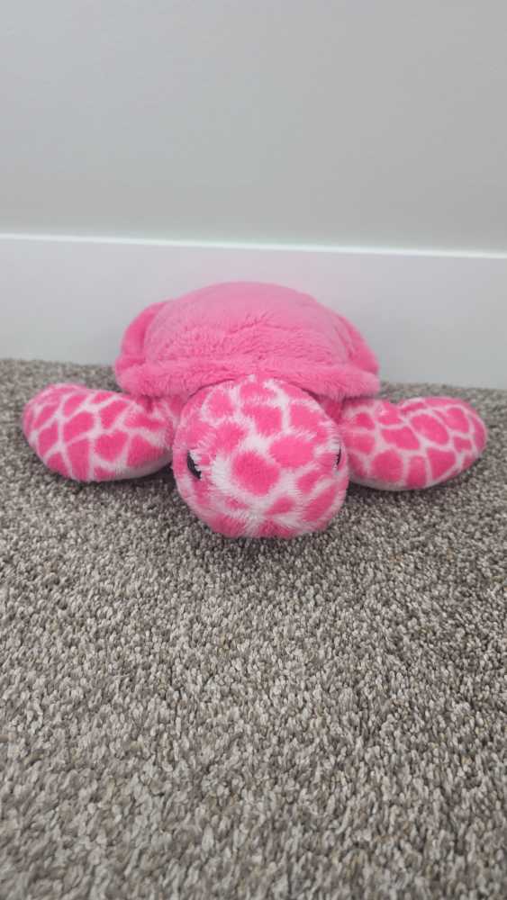 Pretty Patisserie Tarte Au Citron