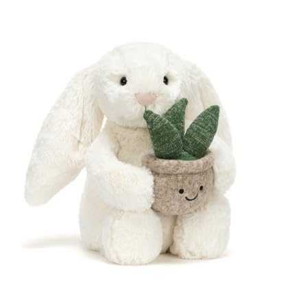 Andy Tomato Soup Can