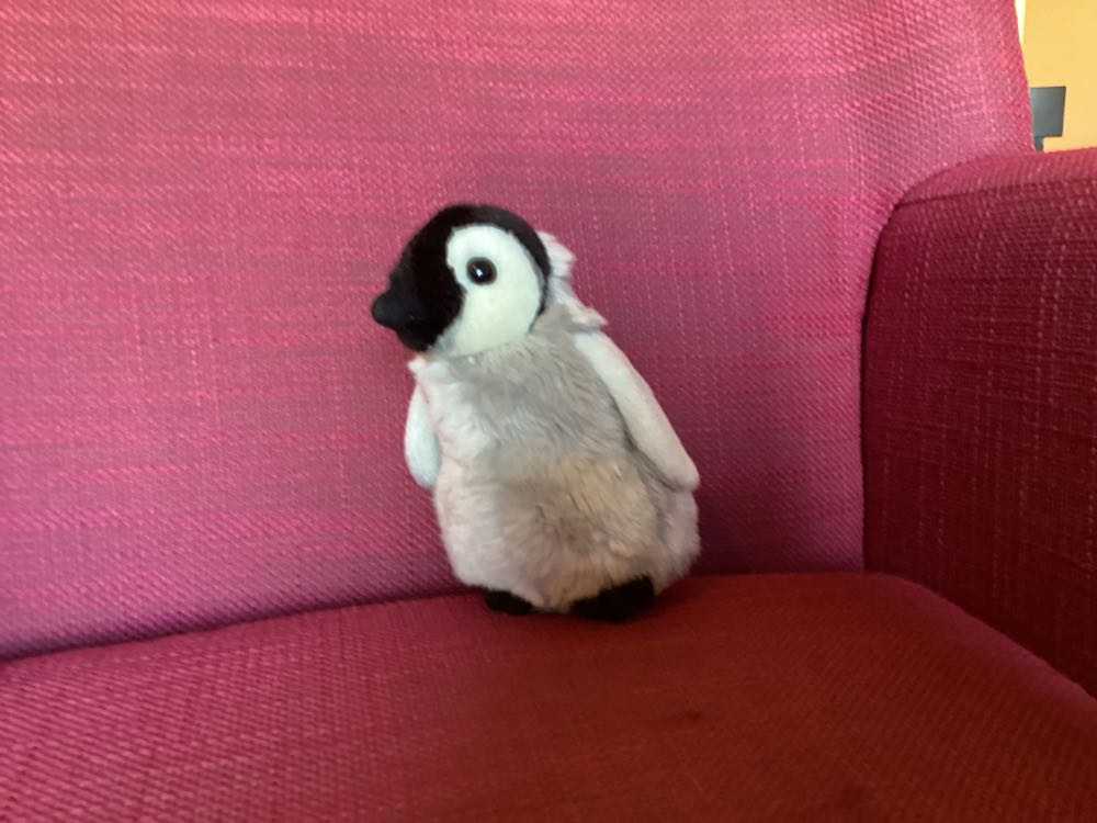 Evelyn Crescent Moon