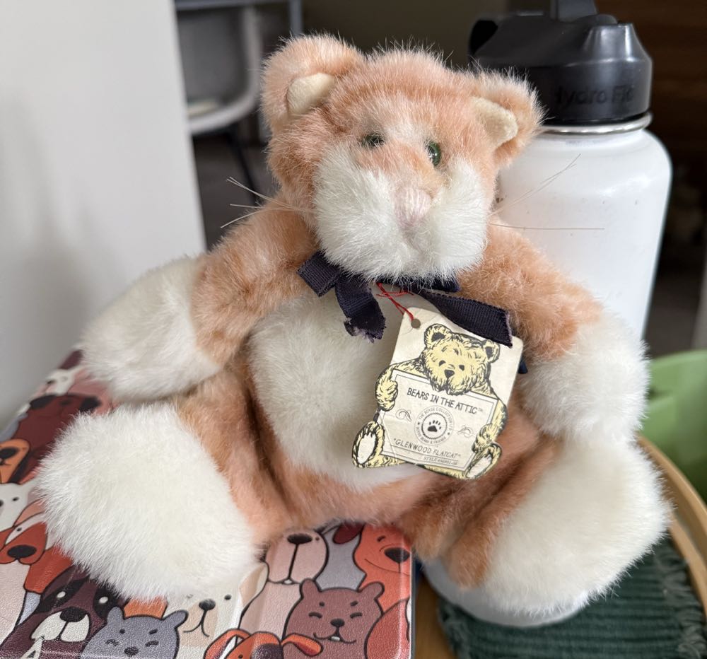 Plant - Amuseable Monstera