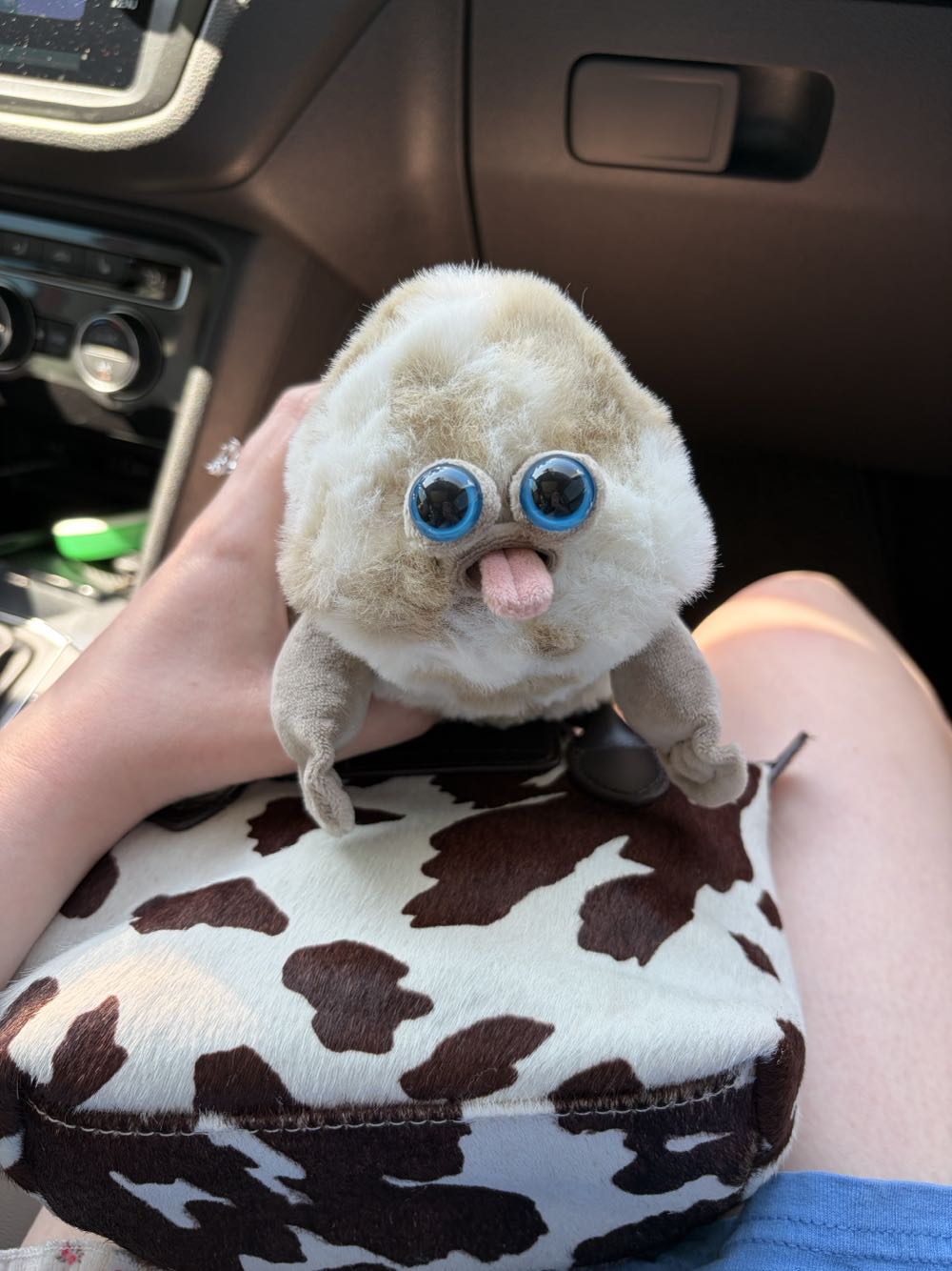 Frankie (The Knights Of Guinevere)