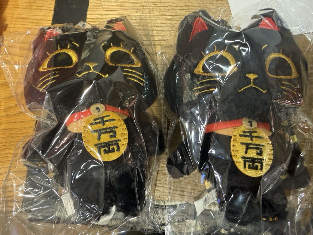 Squirtle [Blue Shell Border, 17”]