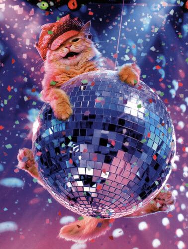 Disco Cat - Ceaco puzzle collectible - Main Image 2