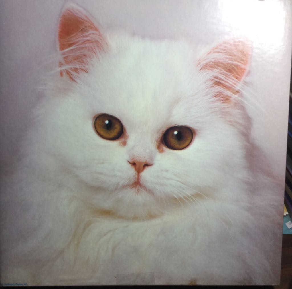 Collage Of 36 Windows And Doors - Completed