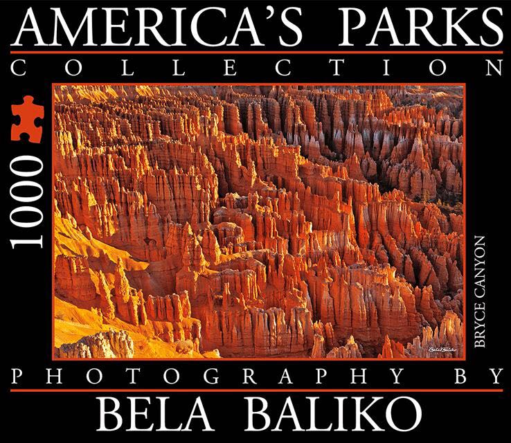 The Balloon Festival