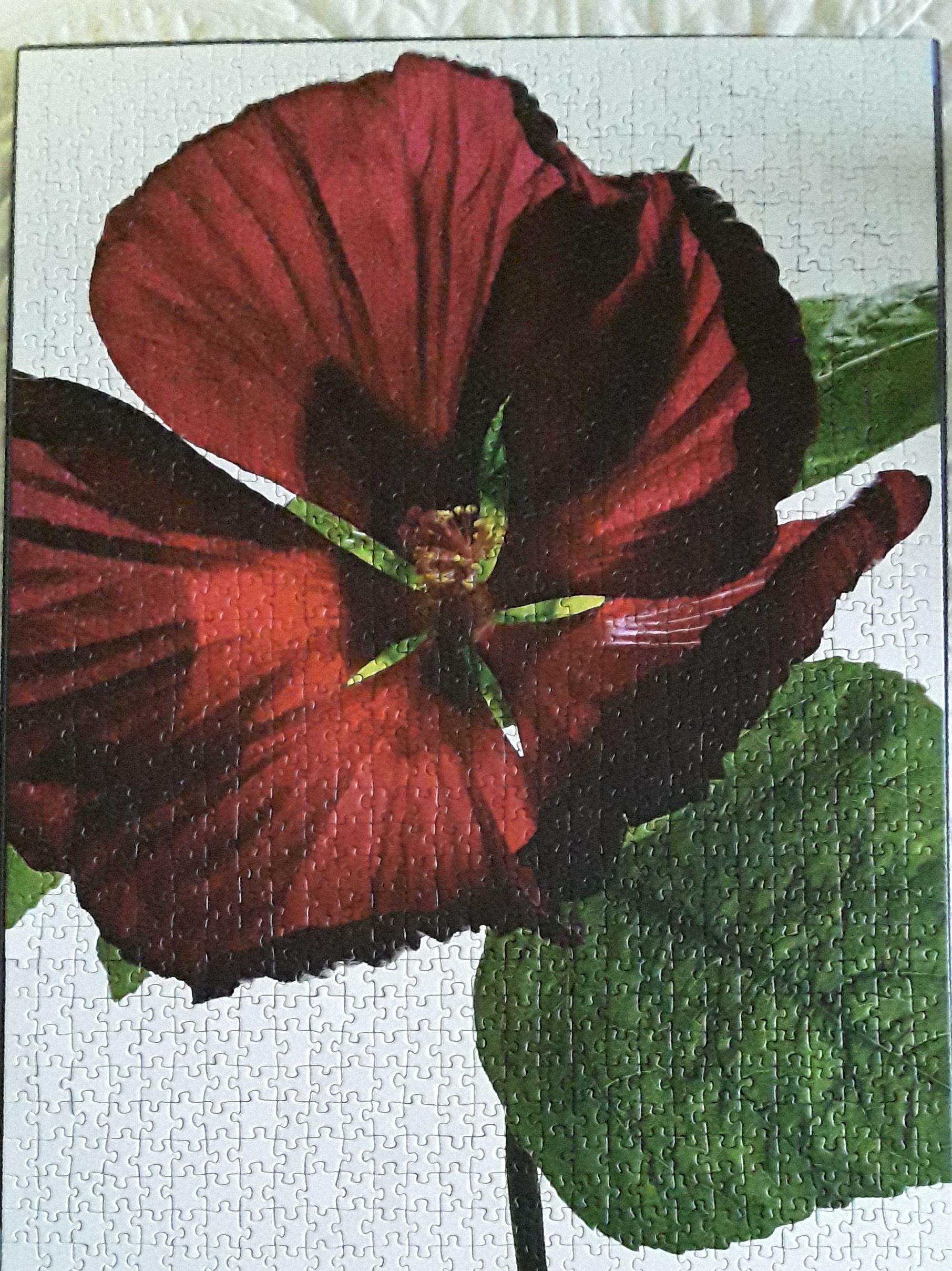 Hibiskusblüte - Ravensburger puzzle collectible - Main Image 2