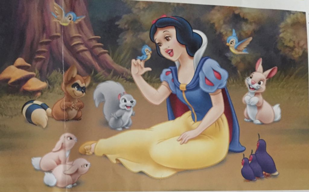 Funky Zoo:  Black Forest Habitat