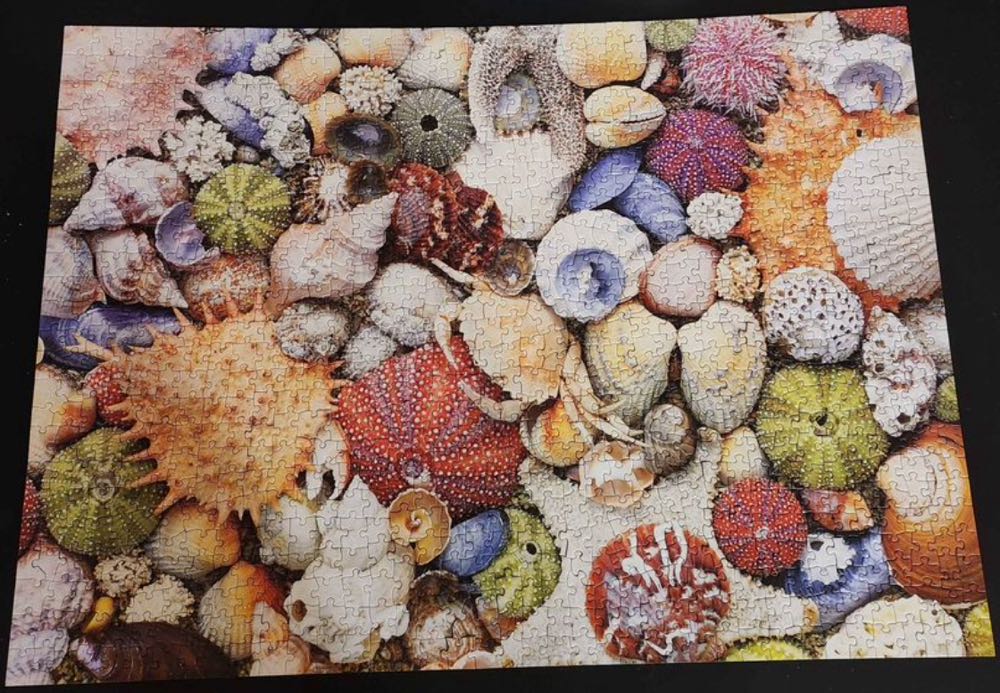 Seashore - Re-marks puzzle collectible - Main Image 3