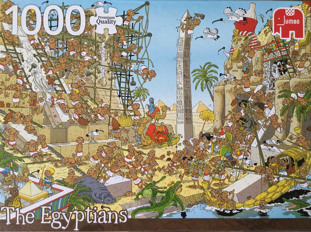 Seahawks Super Bowl champions