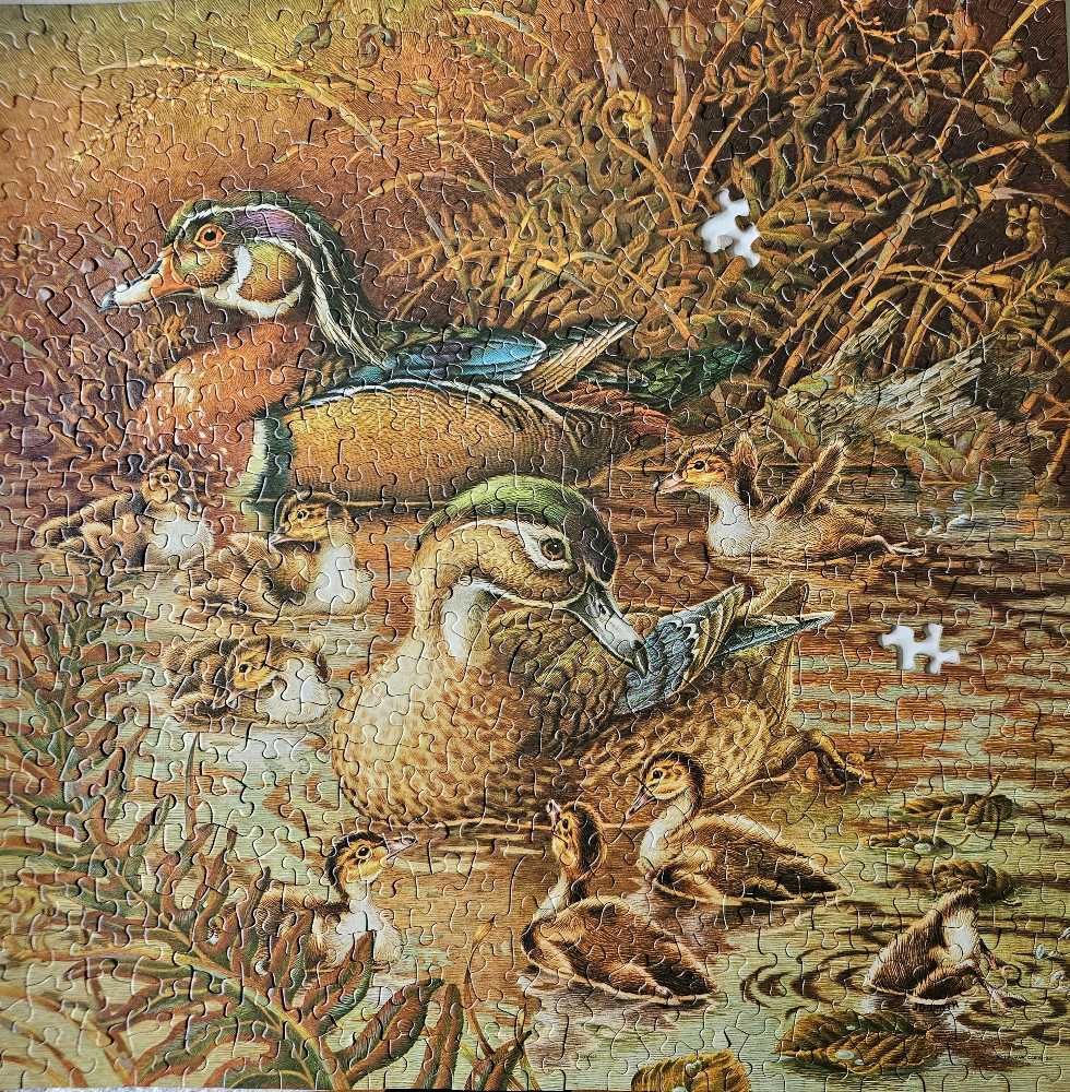 Family Outing - Springbok puzzle collectible - Main Image 3