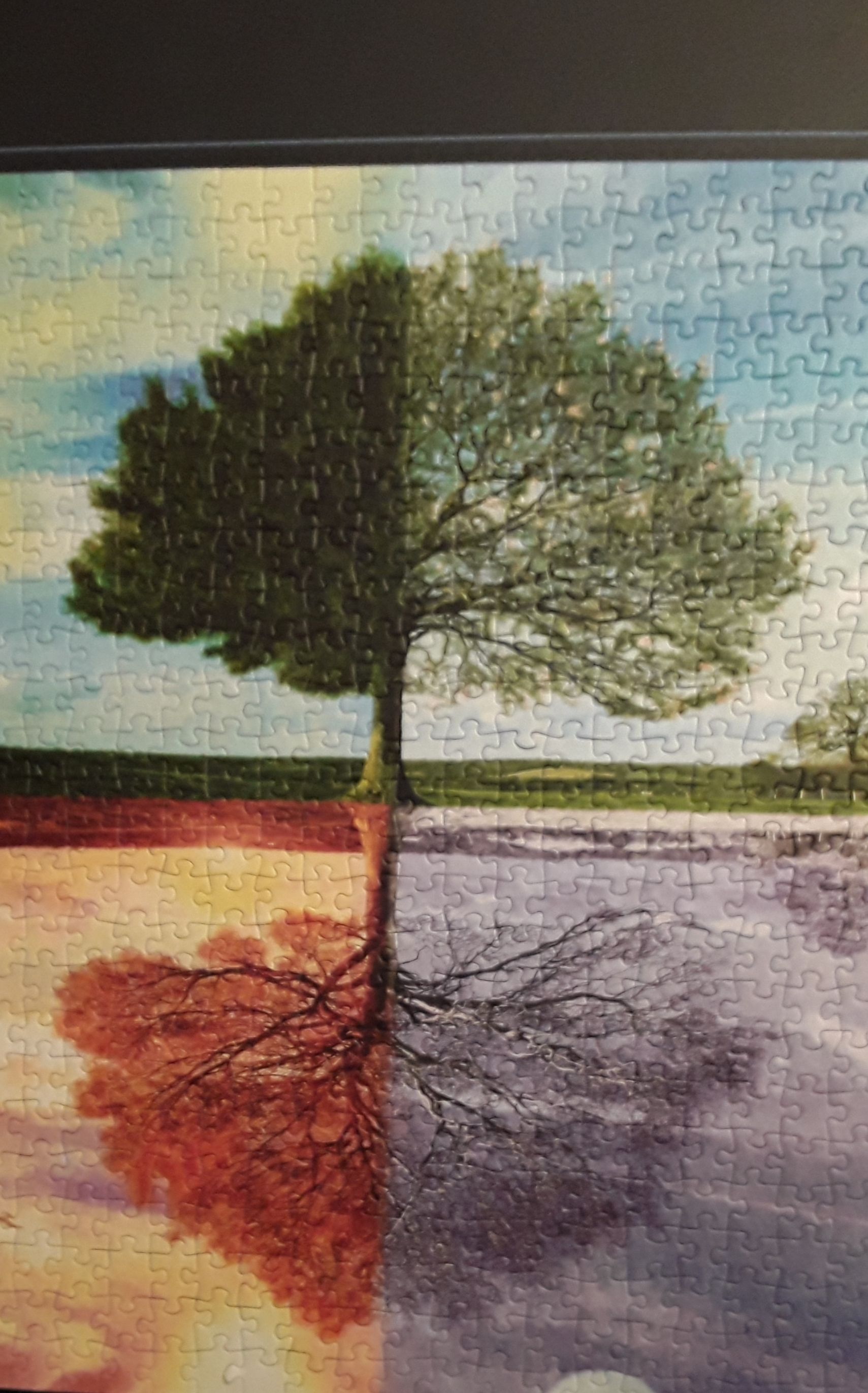 Die vier Jahreszeiten 58223 - Schmidt puzzle collectible - Main Image 2