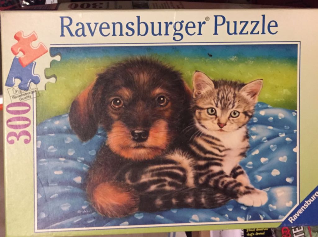 Minnie Mouse & Mickey Mouse 