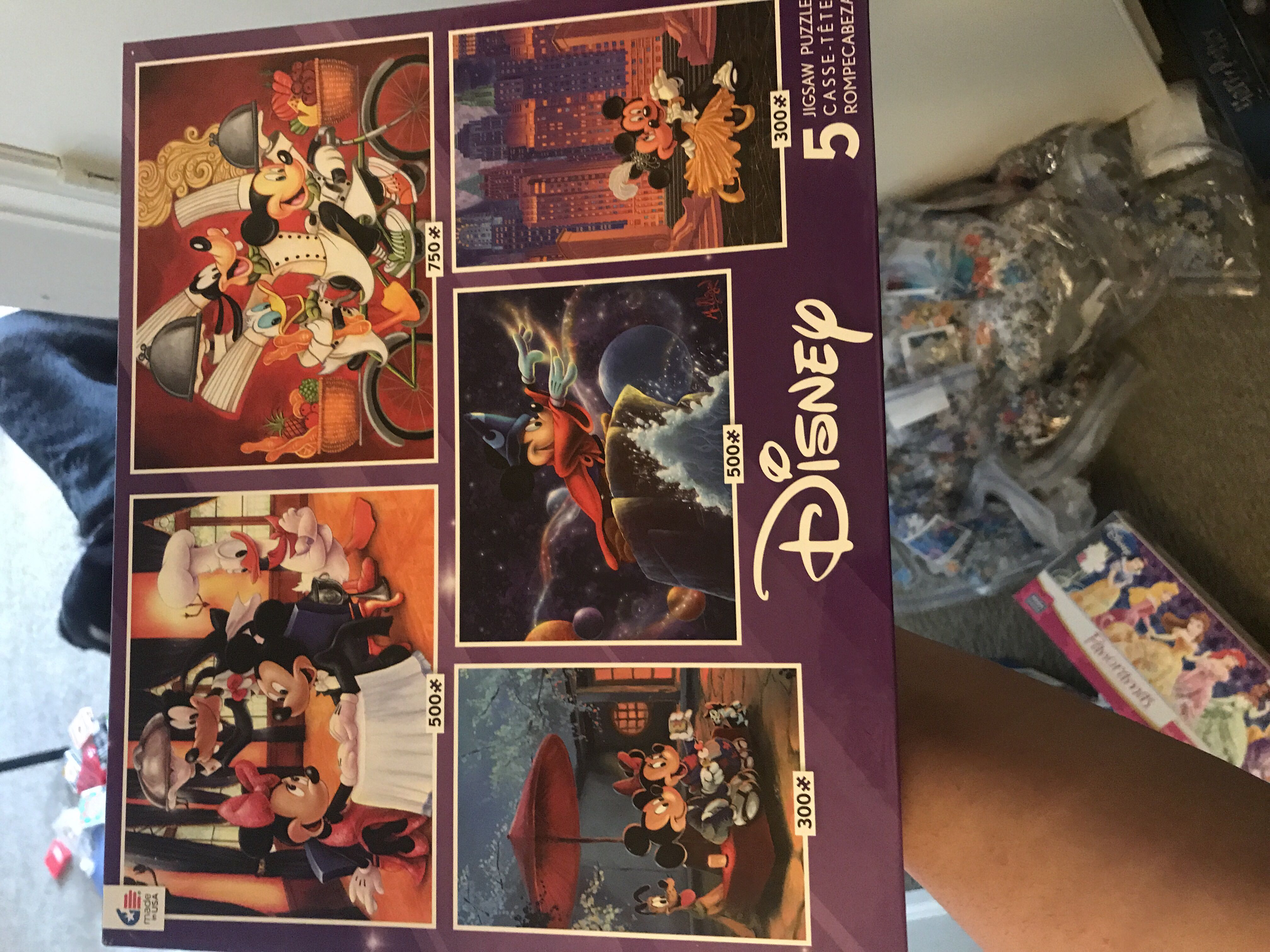 A New Day At The Cinderella Castle