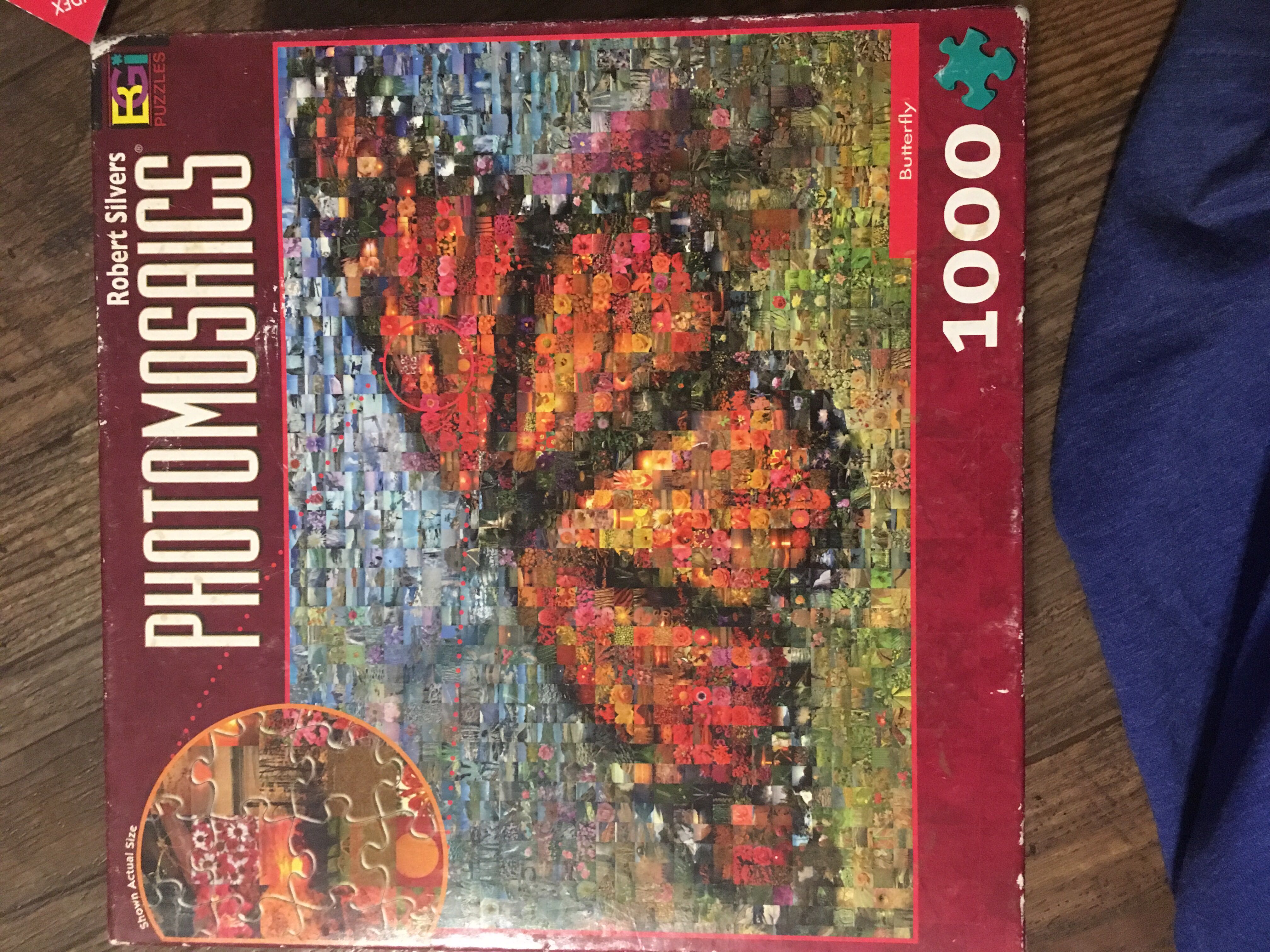 Astérix & La Transitalique