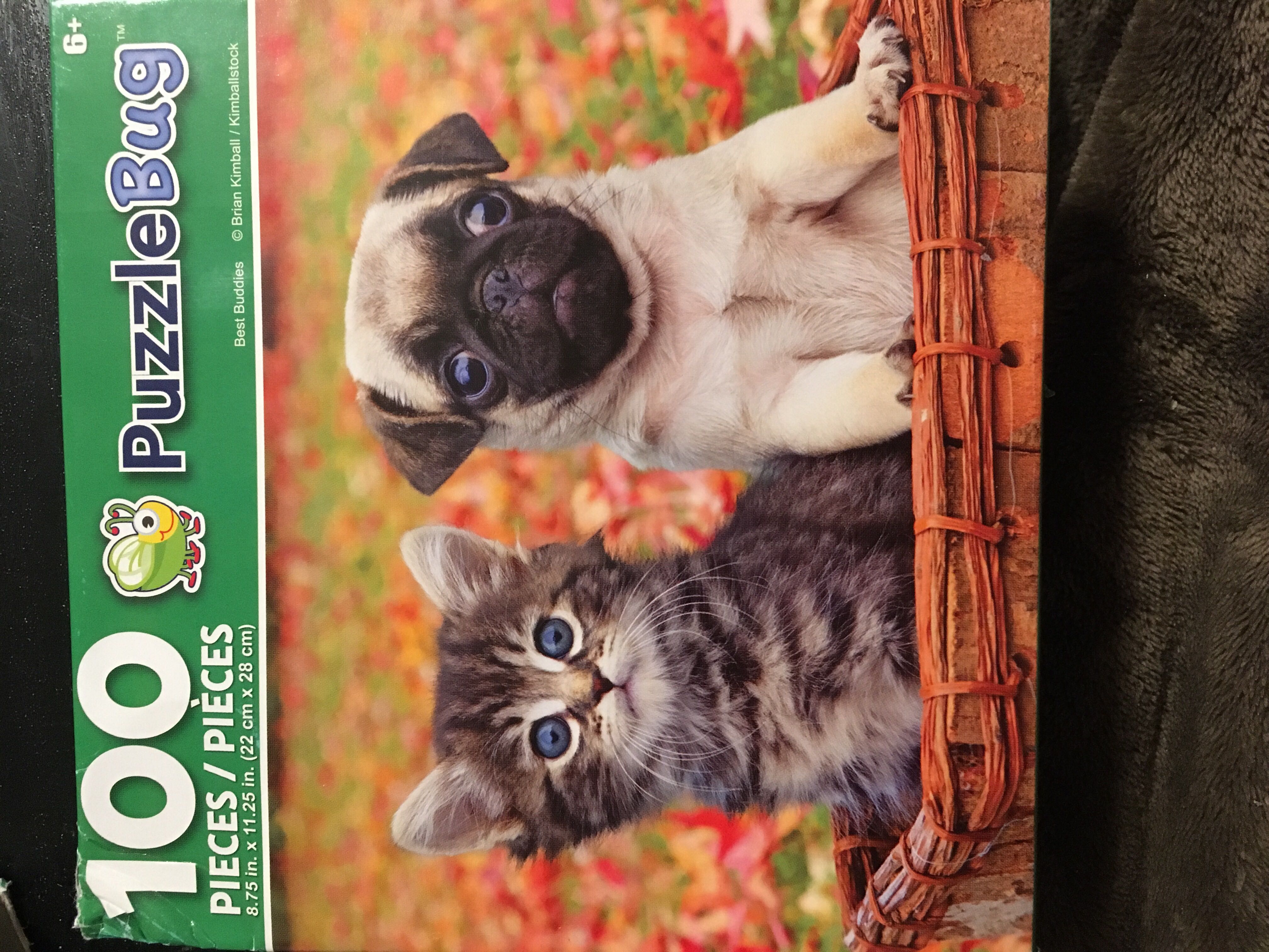 Harry Potter Death Eaters