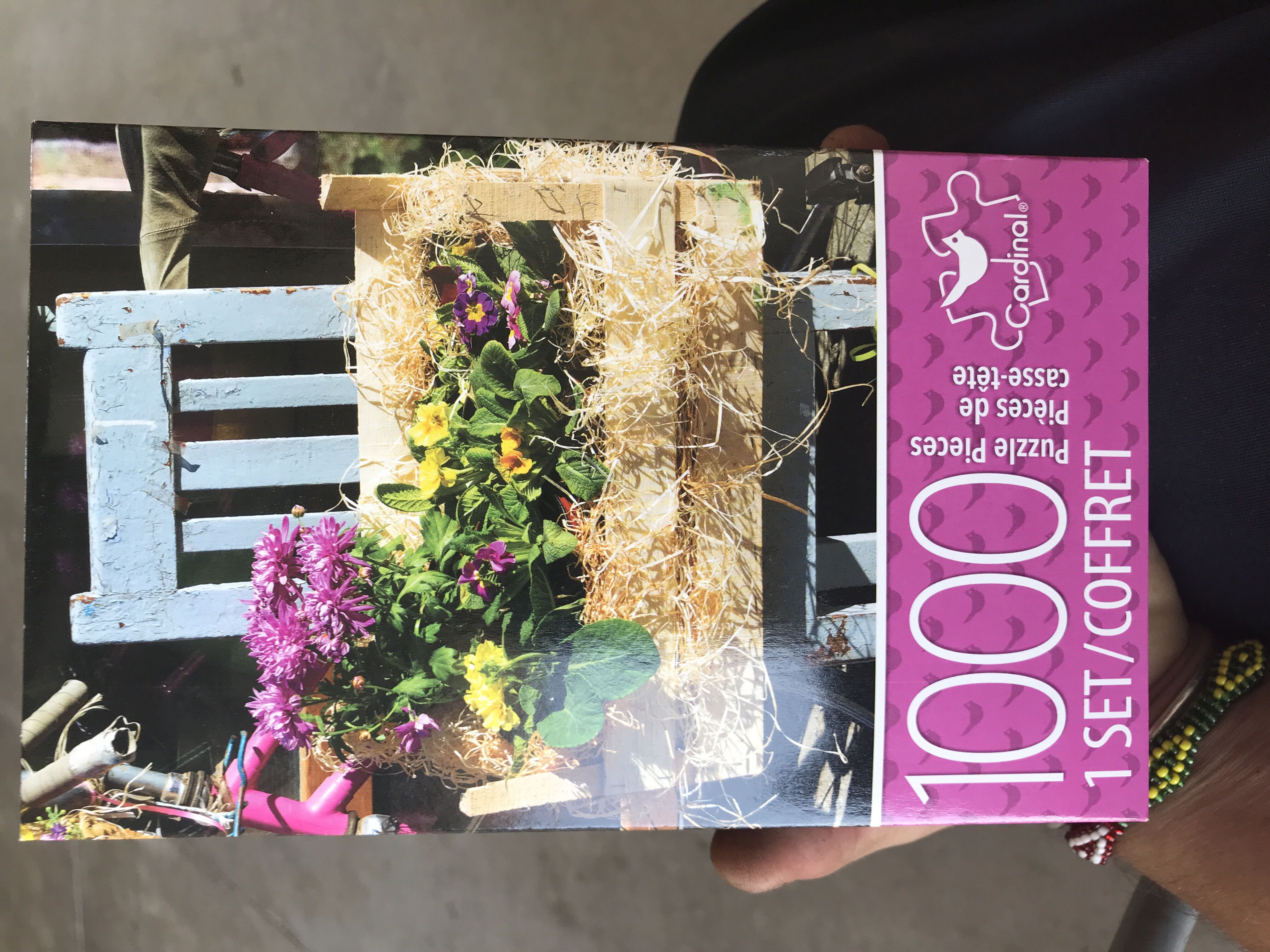 Astérix & La Transitalique