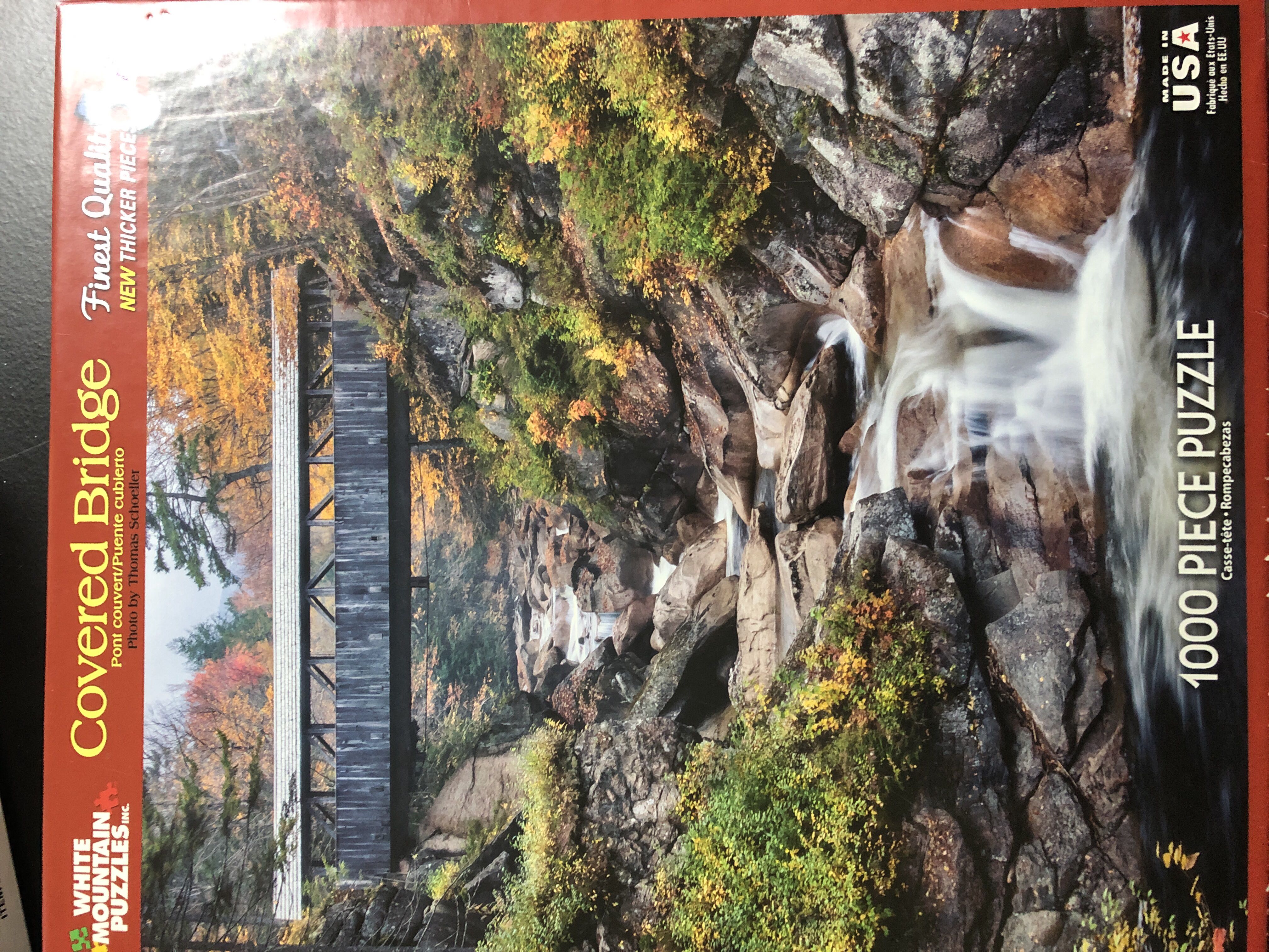 Thomas Kinkade Painter of Light 2