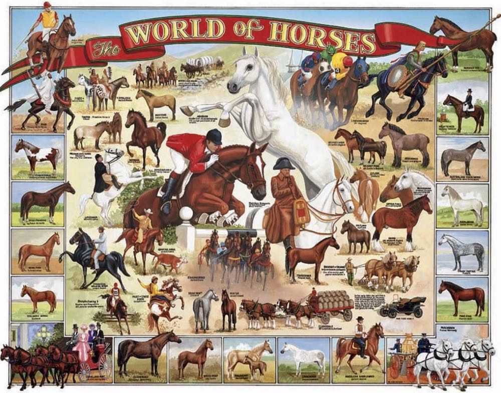 The World Of Horses - White Mountain Puzzles puzzle collectible [Barcode 724819247851] - Main Image 2